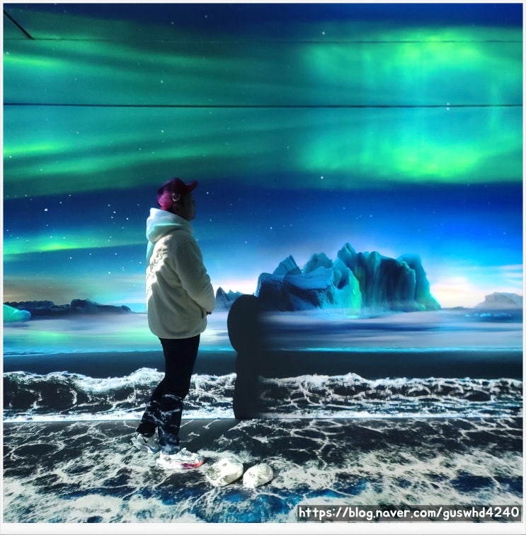 [ 성수동 ]   예쁜 포토존이 한가득 _ 내셔널지오그래픽 From Arctic
