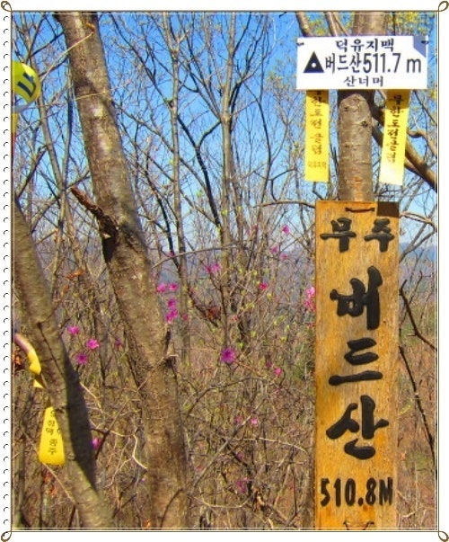 승지골 사진 4