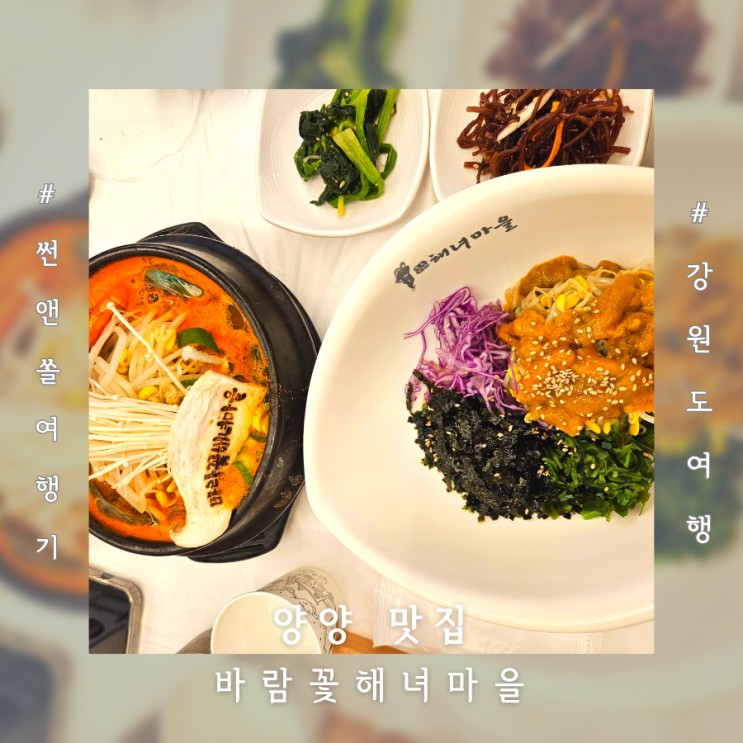  바람꽃해녀마을 낙산점 전복뚝배기 성게알비빔밥 양양 맛집 추천
