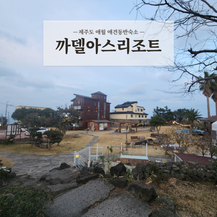  제주도 애월감성숙소 시설 깔끔한 애견동반숙소 까델아스리조트