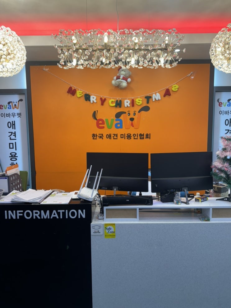  국비지원 말고 대형 애견미용학원 이바우펫 선택 이유
