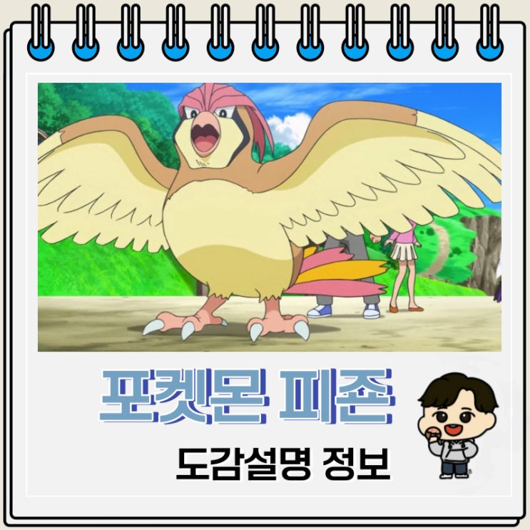 포켓몬스터 피죤 도감설명 정보 포켓몬스터 피죤 도감설명 정보