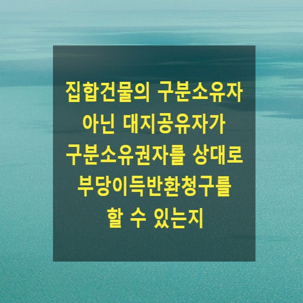  집합건물의 구분소유자 아닌 대지공유자가 구분소유권자를 상대로 부당이득반환청구를 할 수 있는지
