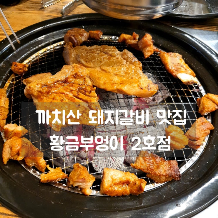  까치산역 맛집 황금부엉이 2호점 수제 돼지갈비 JMT~ 동네리얼맛집임!