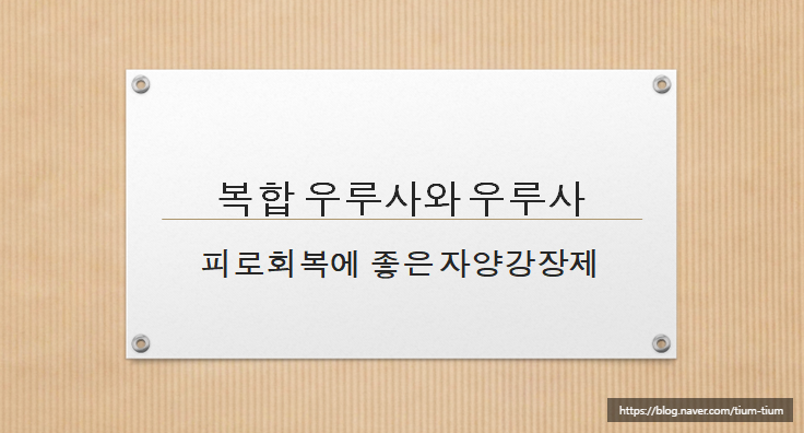 내돈내산 복합우루사 영양제