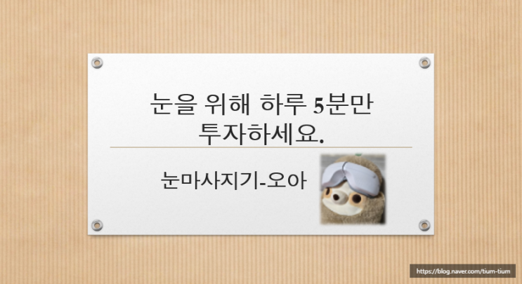 눈마사지기효과 눈을 위한 투자 안구건조증과 눈 노화 예방(ft. 눈마사지기 내돈내산 후기)