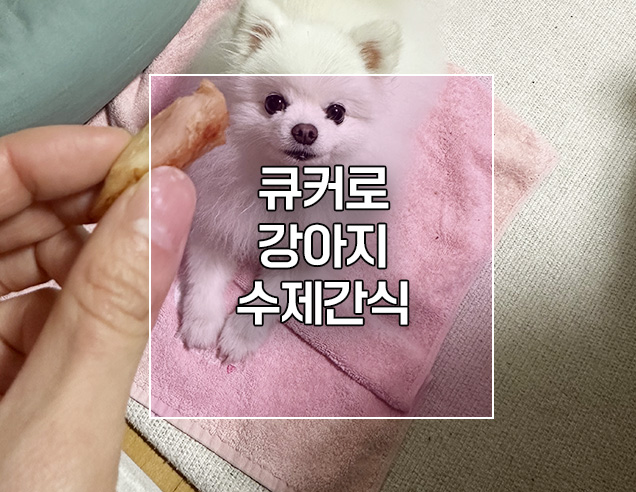  삼성 큐커 에어프라이어로 강아지 수제간식 만들기 (feat.닭안심)