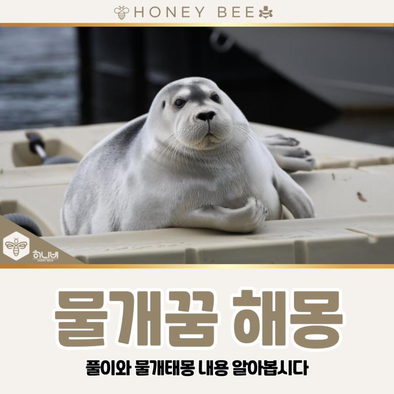 물개꿈 해몽 풀이와 물개태몽 내용 알아봅시다