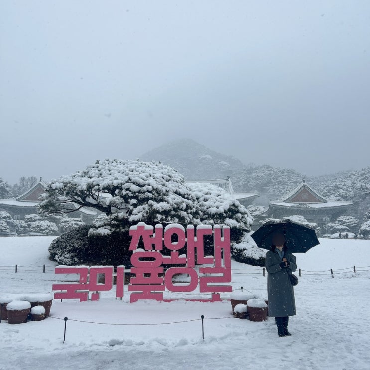  장모님과 눈 오는 1월 청와대 관람 솔직 후기 (예약 방법, 근처 주차장 정보)