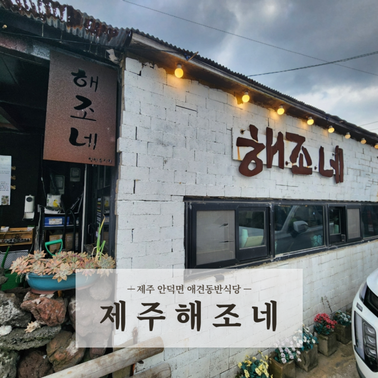  제주도 서귀포 안덕면맛집 애견동반식당 제주 해조네 보말성게전문점
