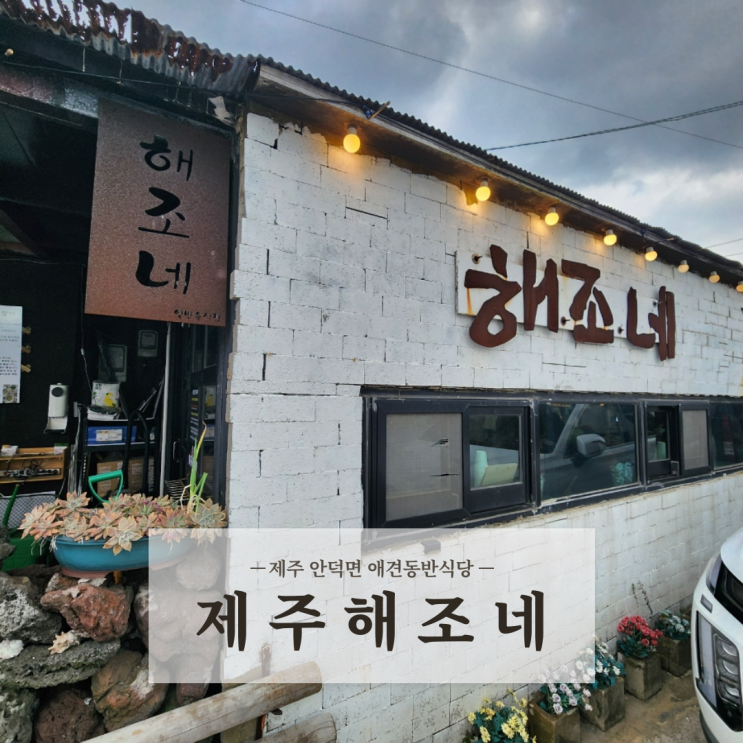 제주도 서귀포 안덕면맛집 애견동반식당 제주 해조네 보말성게전문점