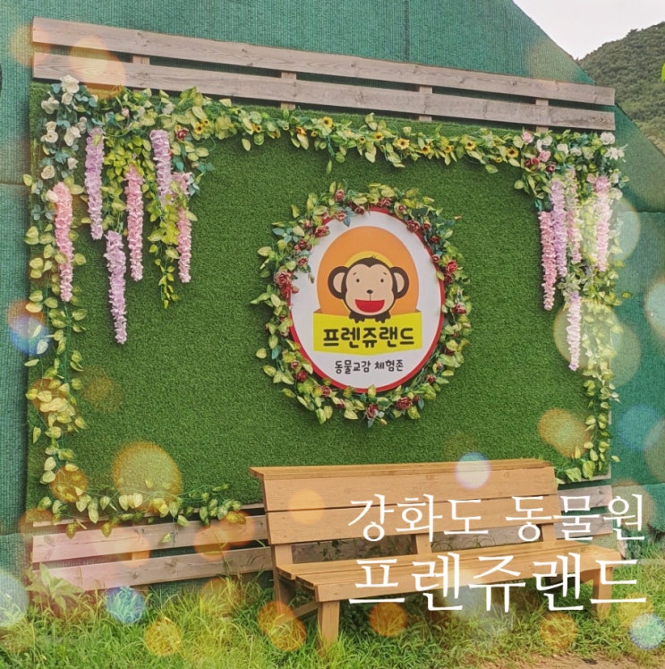  강화도 동물원 프렌쥬랜드 아이랑 가볼 만한 곳 먹이주기 체험 가능