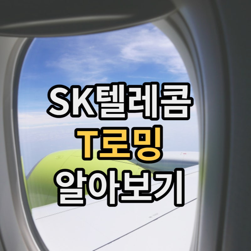 T로밍이란 무엇인가? T로밍 요금제의 종류는? 이해하기 쉽게 설명해 드립니다!
