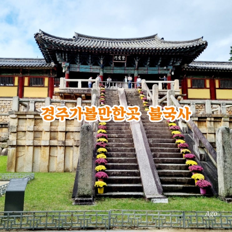  경주가볼만한곳 불국사 feat 아이와 가볼만한곳