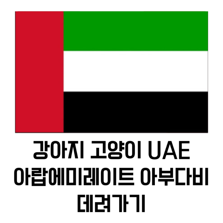  강아지 고양이 UAE 아랍에미레이트 아부다비 데려가기