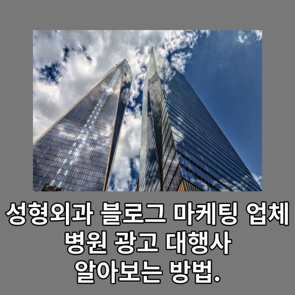 성형외과 블로그 마케팅 업체, 병원 광고 대행사 알아보는 방법.