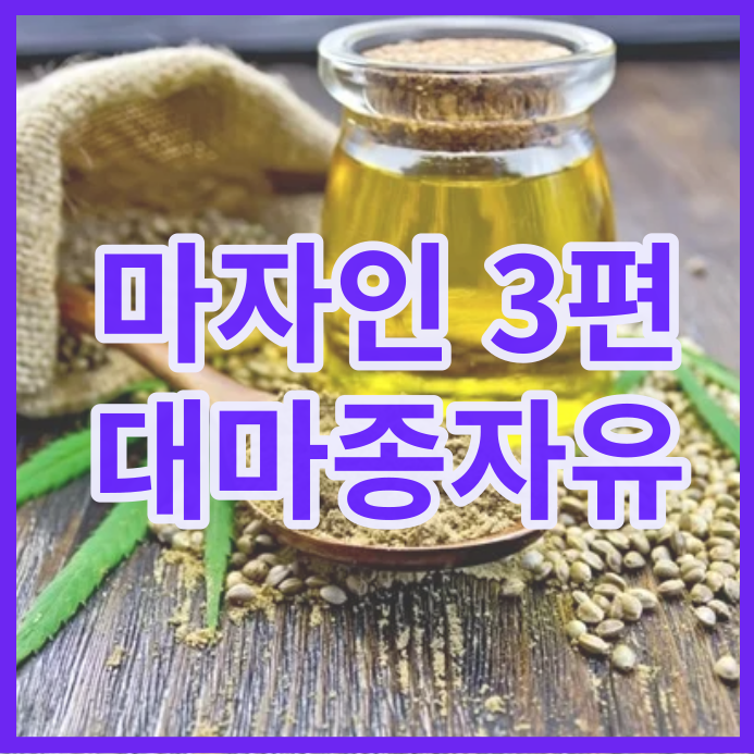  대마종자유 효능 부작용 먹는법 정리해요