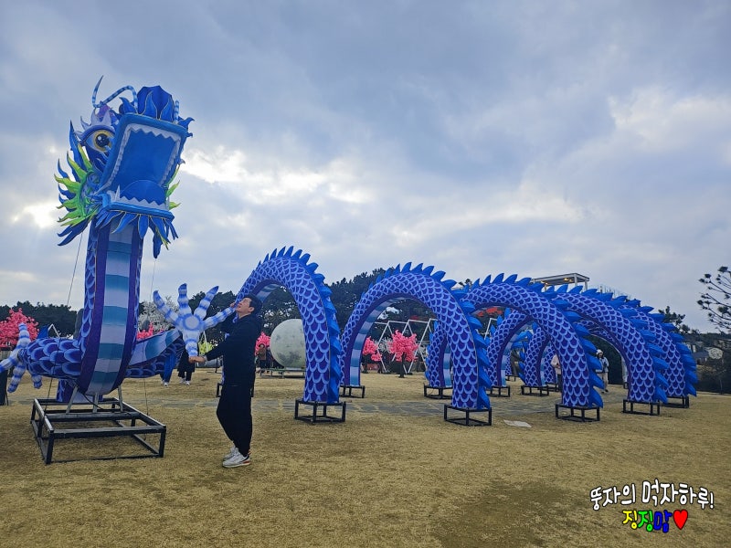 대전트로트가수 김대성 한국시니어모델협회 송년회 사회자 및 초대가수로 활약