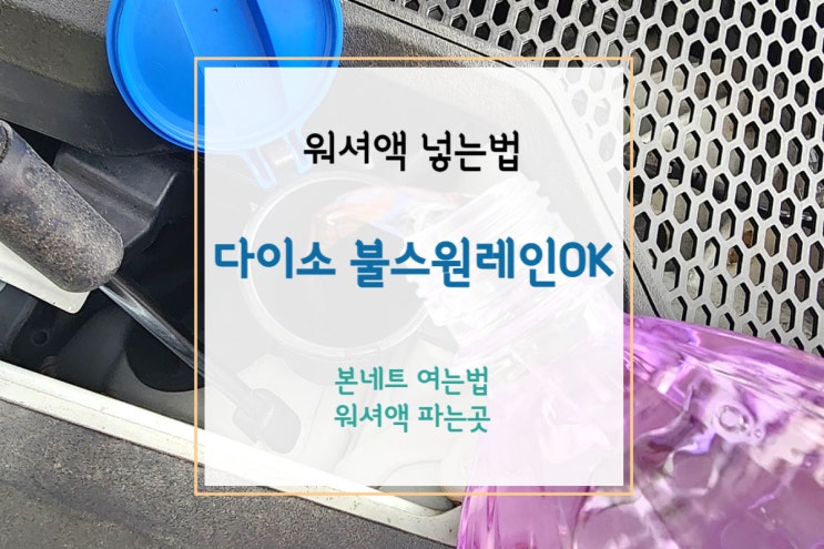 [워셔액 넣는법] 다이소 불스원 레인OK(+본네트 여는법/워셔액 파는곳)