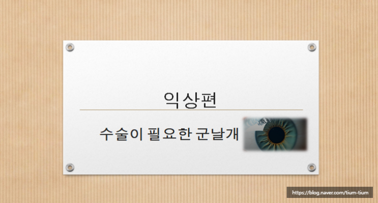 익상편 익상편수술