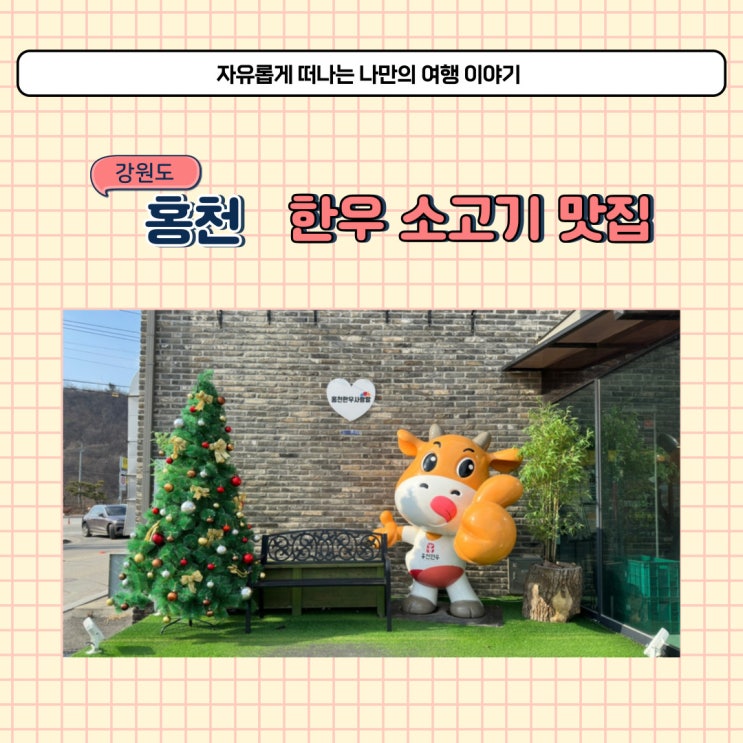  홍천 사랑말한우 소고기 맛집 포장 가능한 정육 식당
