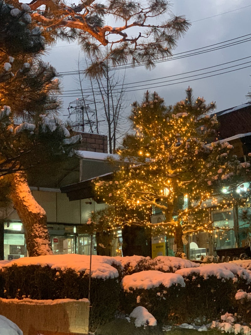 아직도 어린 우리.. 그리고 흑찌 [231216-17] : 네이버 블로그