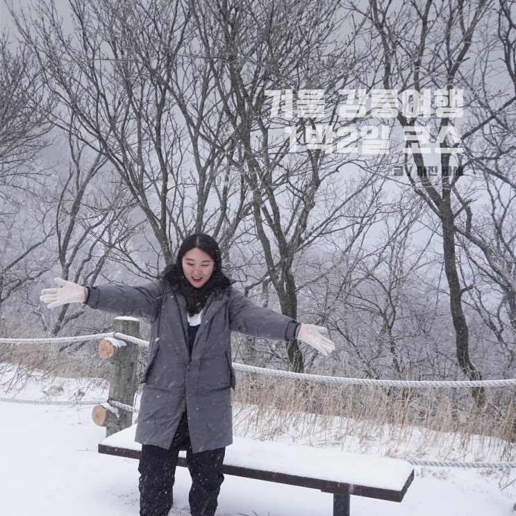  강릉 1박2일 여행코스, 겨울 강릉 여행