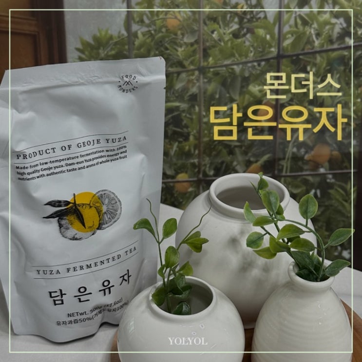  감기에 좋은 원액 유자차. 몬더스 담은유자 솔직후기