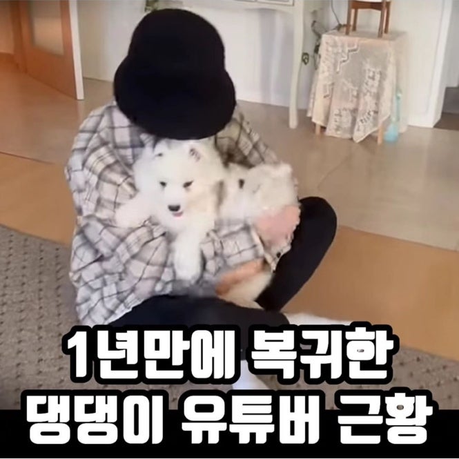 <b>반려견</b> 복제 ? 무지개다리 건넌 강아지 DNA 복제한 <b>유튜버</b>