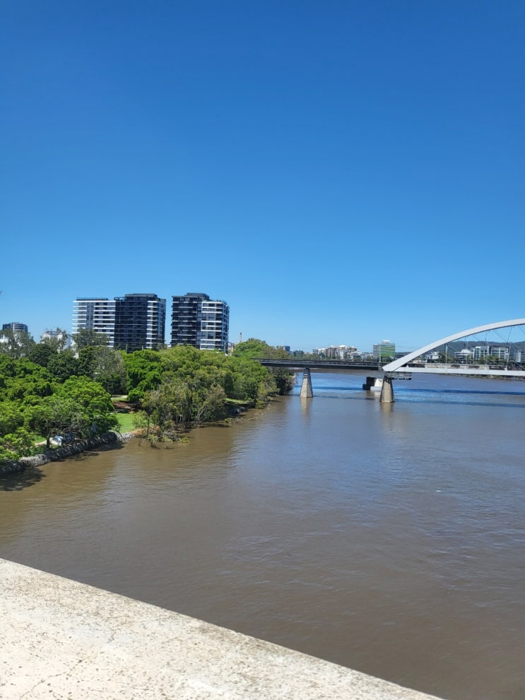  2023 호주 여행기 - 6편, 브리즈번 (인공해변, Wheel of Brisbane, CBD)