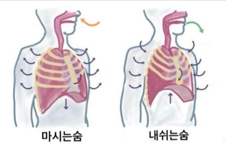  필라테스 호흡법이 필요한 이유 / 전주 효자동 헬스장 / 100휘트니스 신시가지점