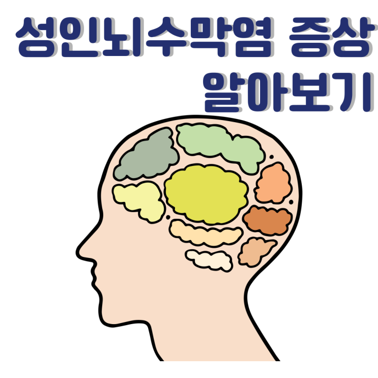 성인뇌수막염증상 : 세균성 뇌수막염 알아보기