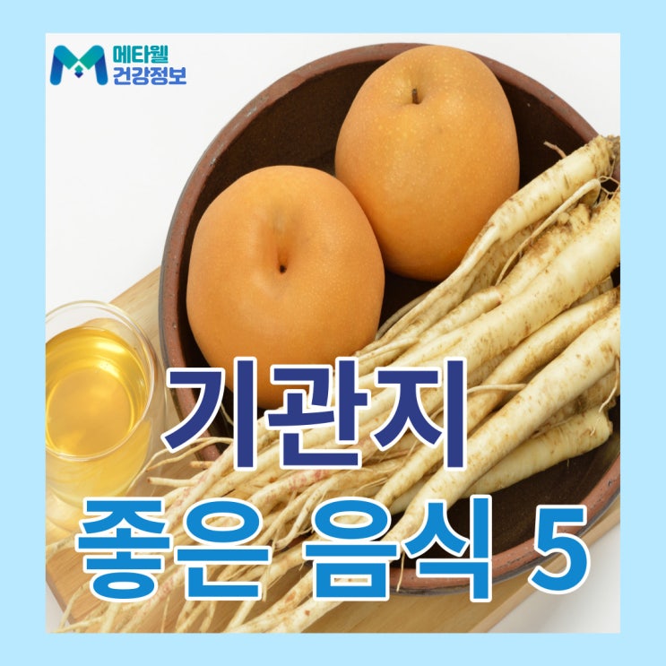  기관지에 좋은음식 5가지, 만성 기관지염 잔기침 증상완화에 좋은 음식