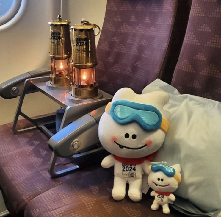  2024 강원 동계청소년올림픽 대회 자원봉사(최종 합격 후 추가사항)