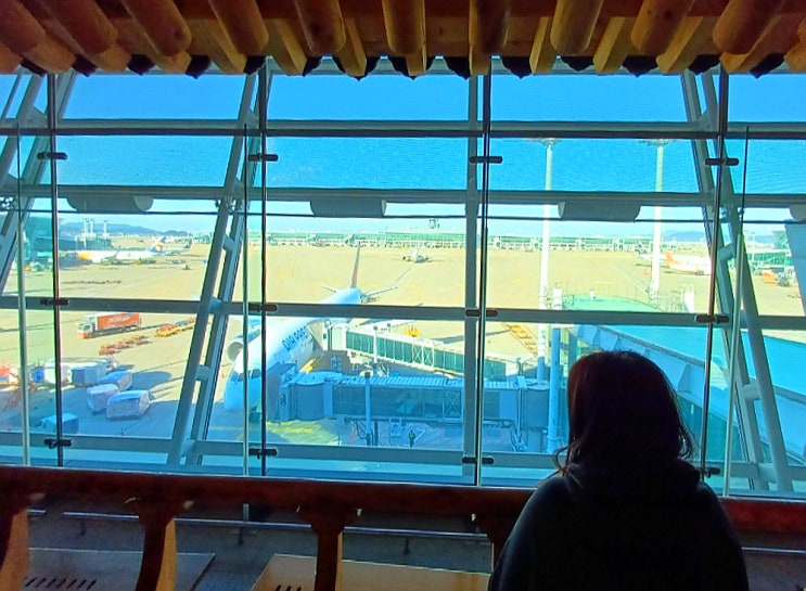  인천공항 제1여객터미널 카페 와플크라운 비행기 구경 전망대 볼거리