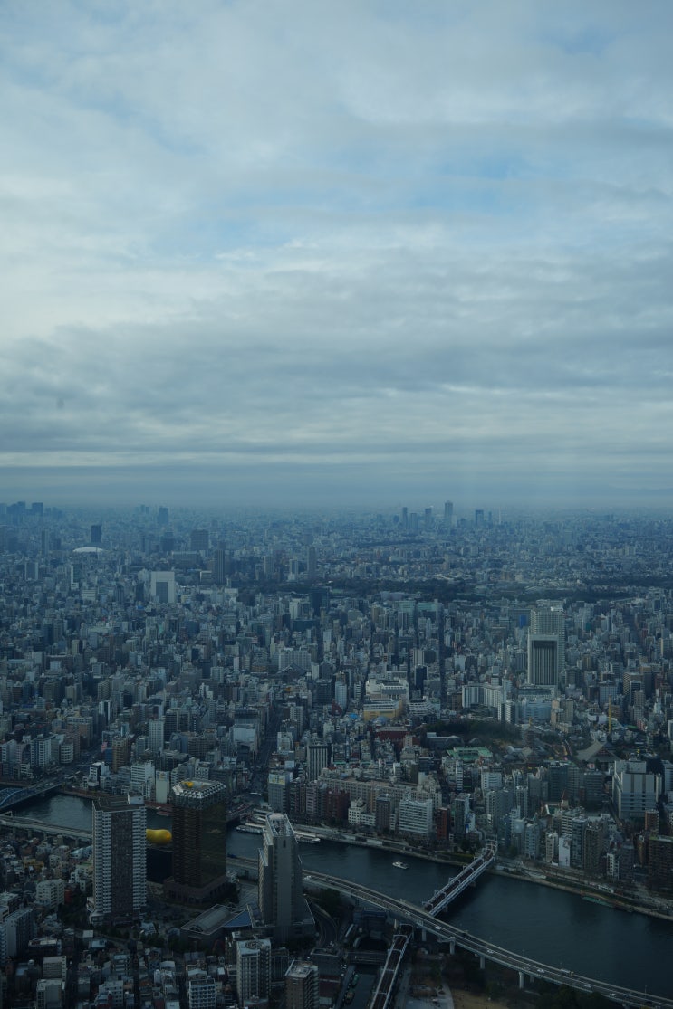 [1월/도쿄 5박 6일/3일차] 도쿄 스카이트리, 하늘을 향한 높이의 아름다움