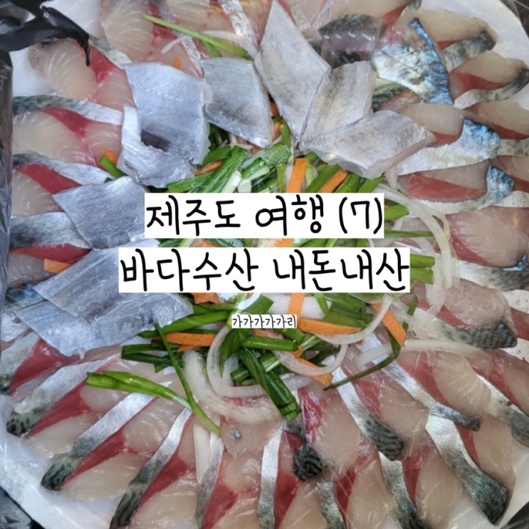  서귀포여행 제주 올레시장 고등어회 바다수산 내돈내산 포장, 고등어회 가격 + 고등어회 포장 저렴하게 사는 꿀팁