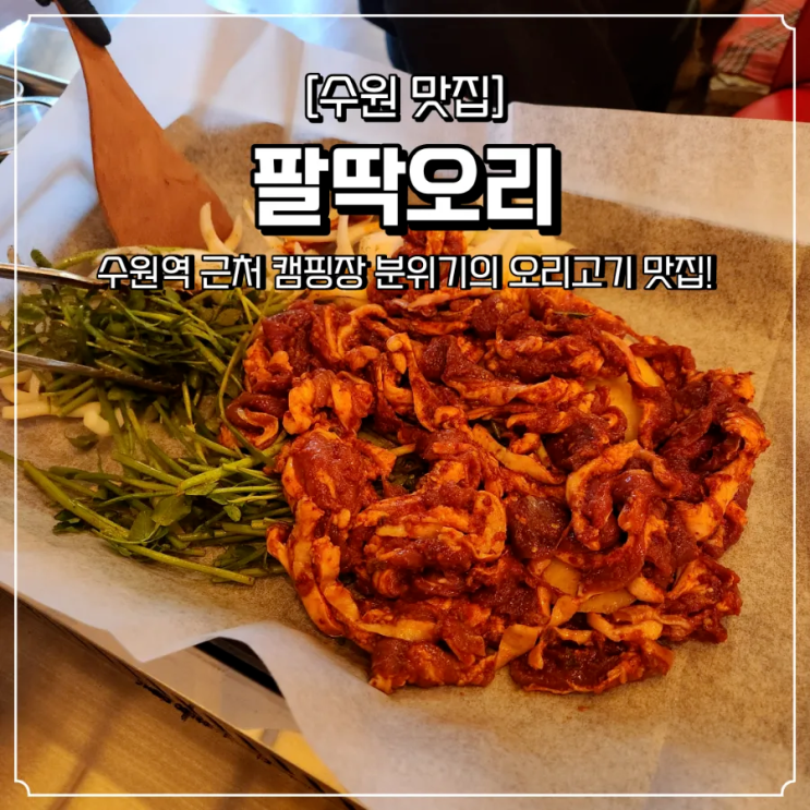  수원역 맛집 추천 실내 캠핑장 분위기 팔딱오리