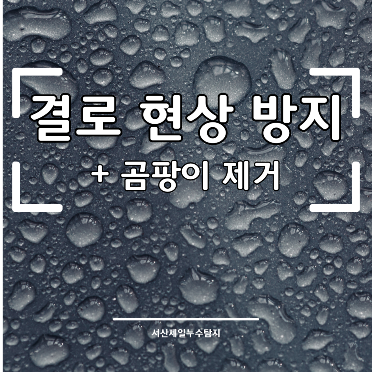  결로 현상 방지하는 법과 곰팡이 제거하는 법