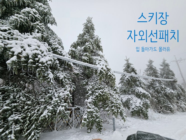 <b>자외선 차단 패치</b>, 스키장에서 붙인다면 ?