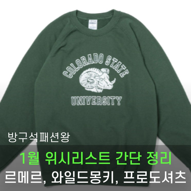  1월의 위시리스트 살펴보기(르메르, 와일드동키, 프로드셔츠)