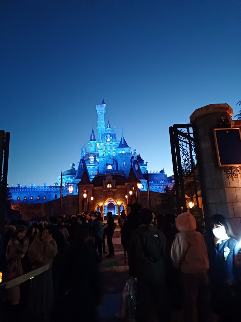 도쿄 디즈니랜드 꼭 읽고가야 할 꿀팁!/어플일본어설정법/DPA구매,설명/코인락커,짐보관 등! : 네이버 블로그