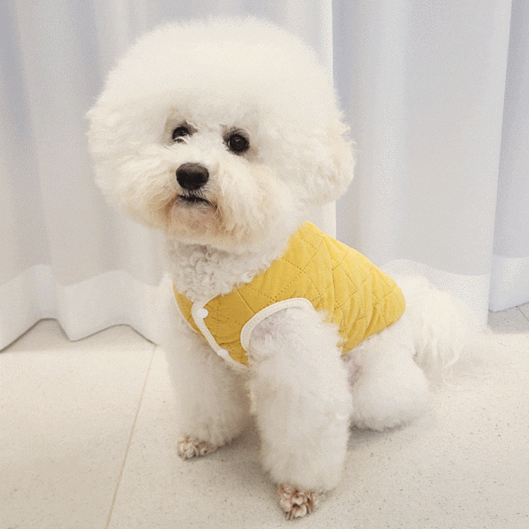  강아지 조끼 겨울옷으로 깔깔이 추천해요!
