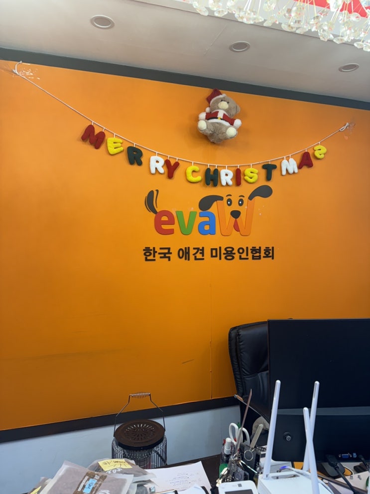  부산애견미용학원 비용 확인하고 자격증 취득하자! (국비지원, 한국애견미용인협회 장학지원)