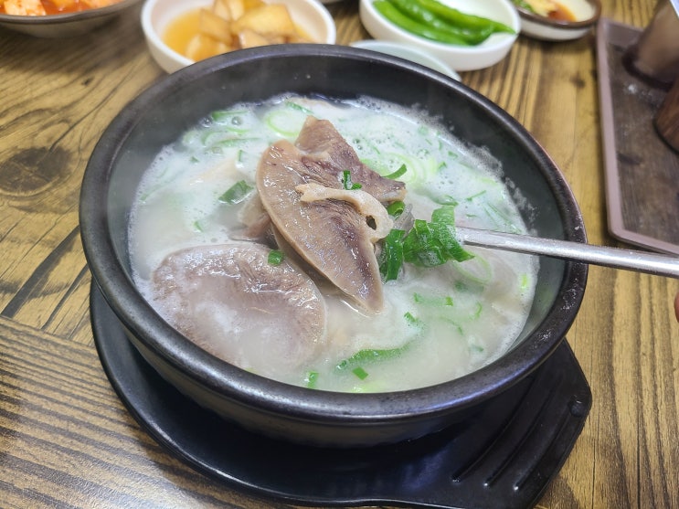  서귀포 하효 소머리국밥 맛집 아침식사 내돈내산