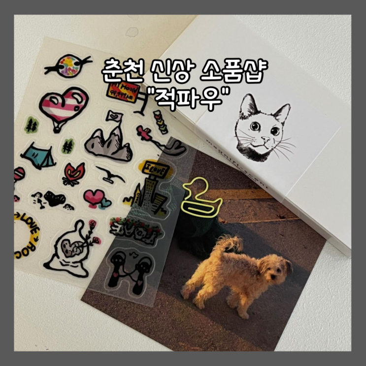  [춘천] 효자동 신상 소품샵, 배낭여행 손기록 테마샵 "적파우" 내돈내산