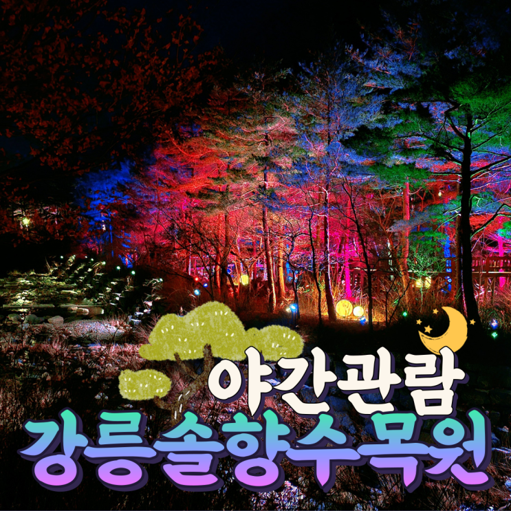  강릉 가볼만한곳 밤 산책하기 좋은 솔향수목원