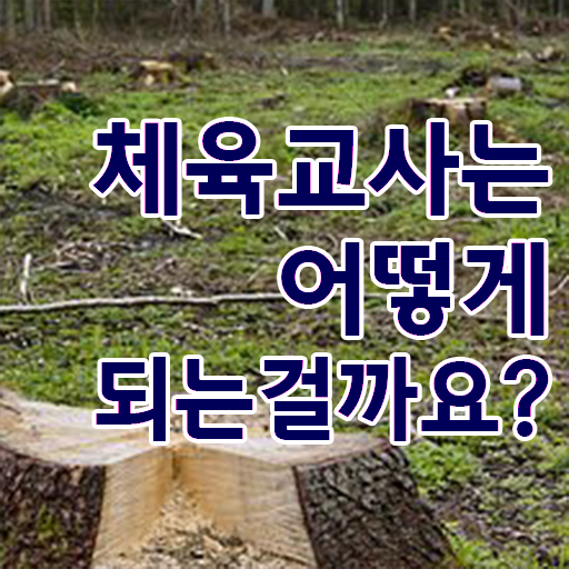  체육교사 자격증 학점은행제 이건 꼭 봐야해요 !!!