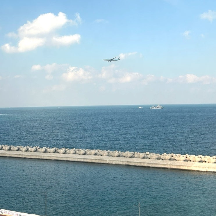 제주공항 제주항 근처 호텔 수영장 디럭스 더블 오션뷰리젠트마린제주 제주공항 제주항 근처 호텔 수영장 디럭스 더블 오션뷰리젠트마린제주