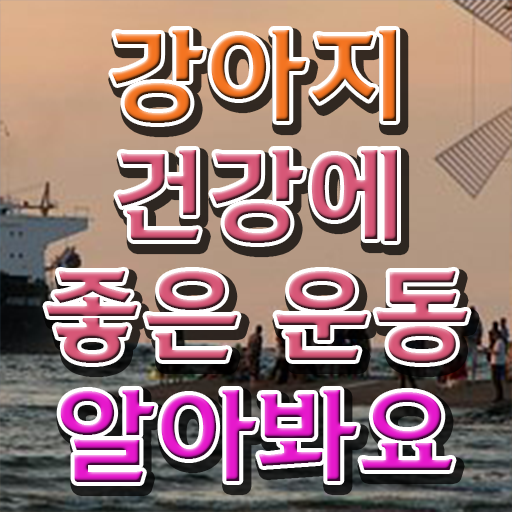  반려견운동지도사 자격증 1급 시험 알려드릴게요 ?!